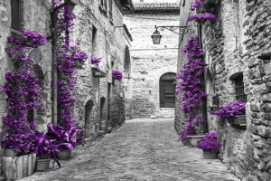 Fototapeta szaro fioletowa uliczka